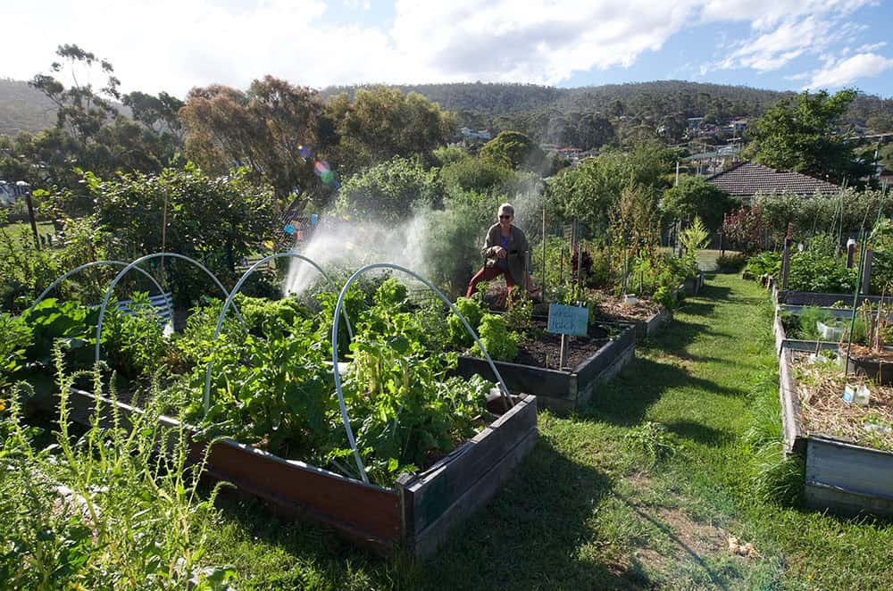 Taroona-Neighbourhood-Garden