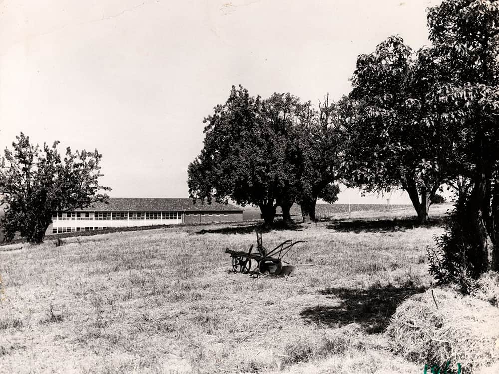 historical-orchard